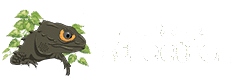 札幌の爬虫類ショップ Affection